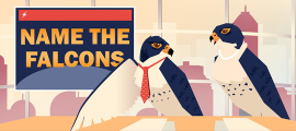 name the falcons