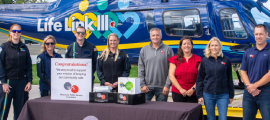 wps foundation life link iii