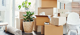 moving boxes