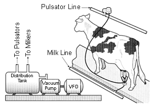 Vacuum Pump Technology