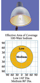 Dusk-to-Dawn Security Light