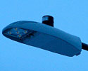 LED Cobra Light