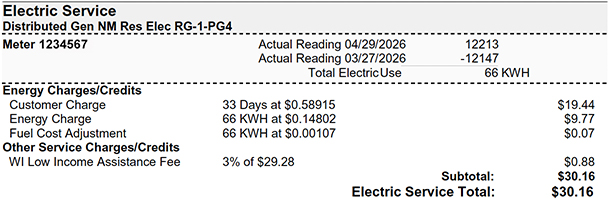 pg-4 net consumption bill example